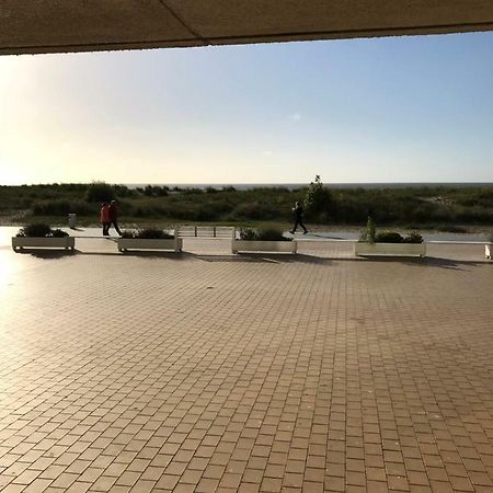 Zandduin Nieuwpoort Luaran gambar